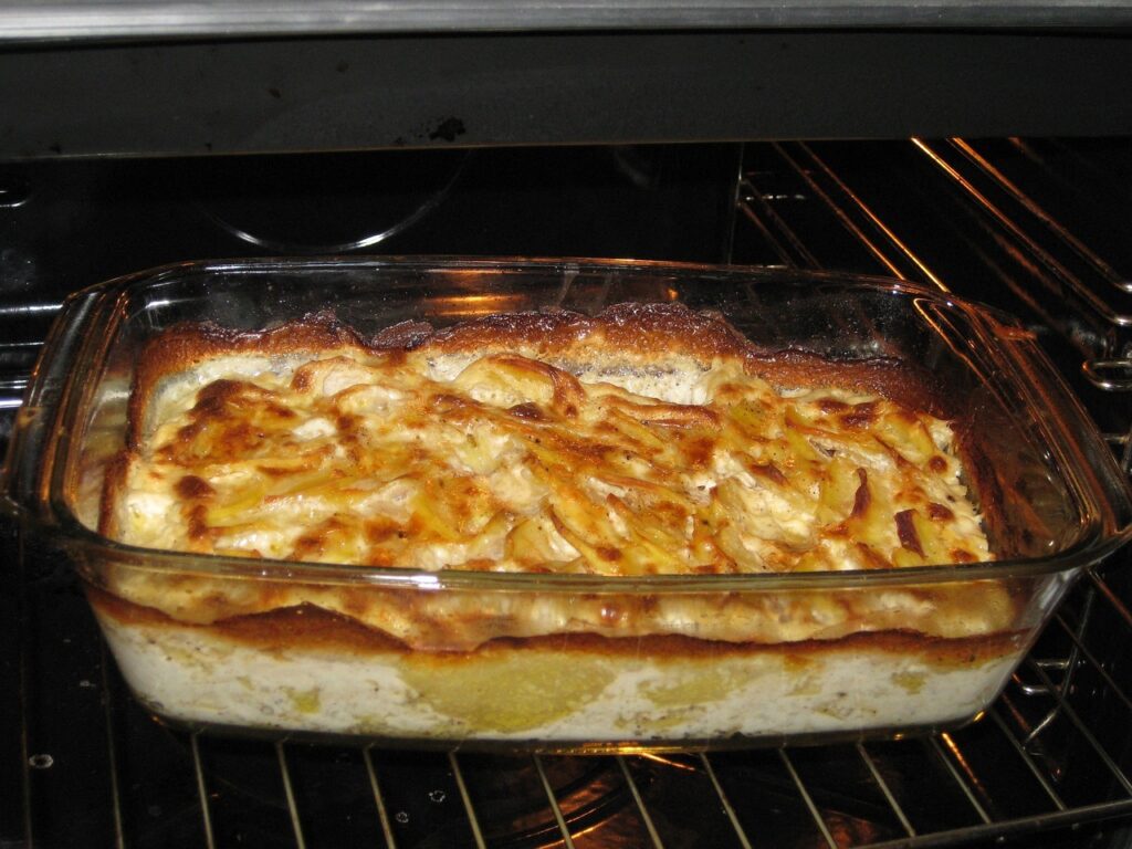 Electric Ovens: A New Era in Home Cooking Excellence