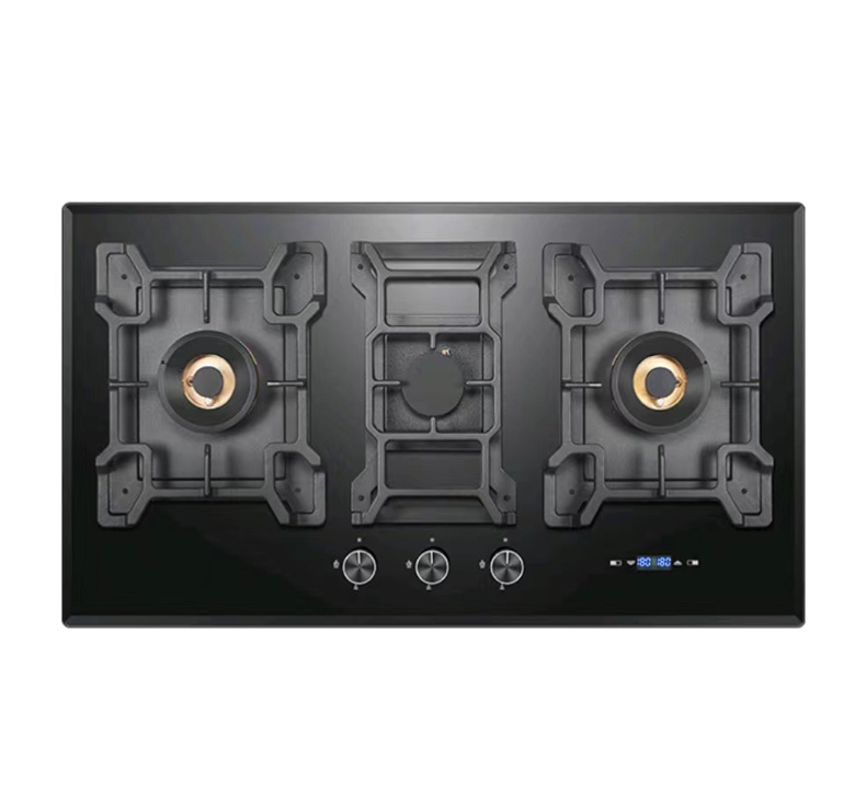ALK-G301 Gas Stove