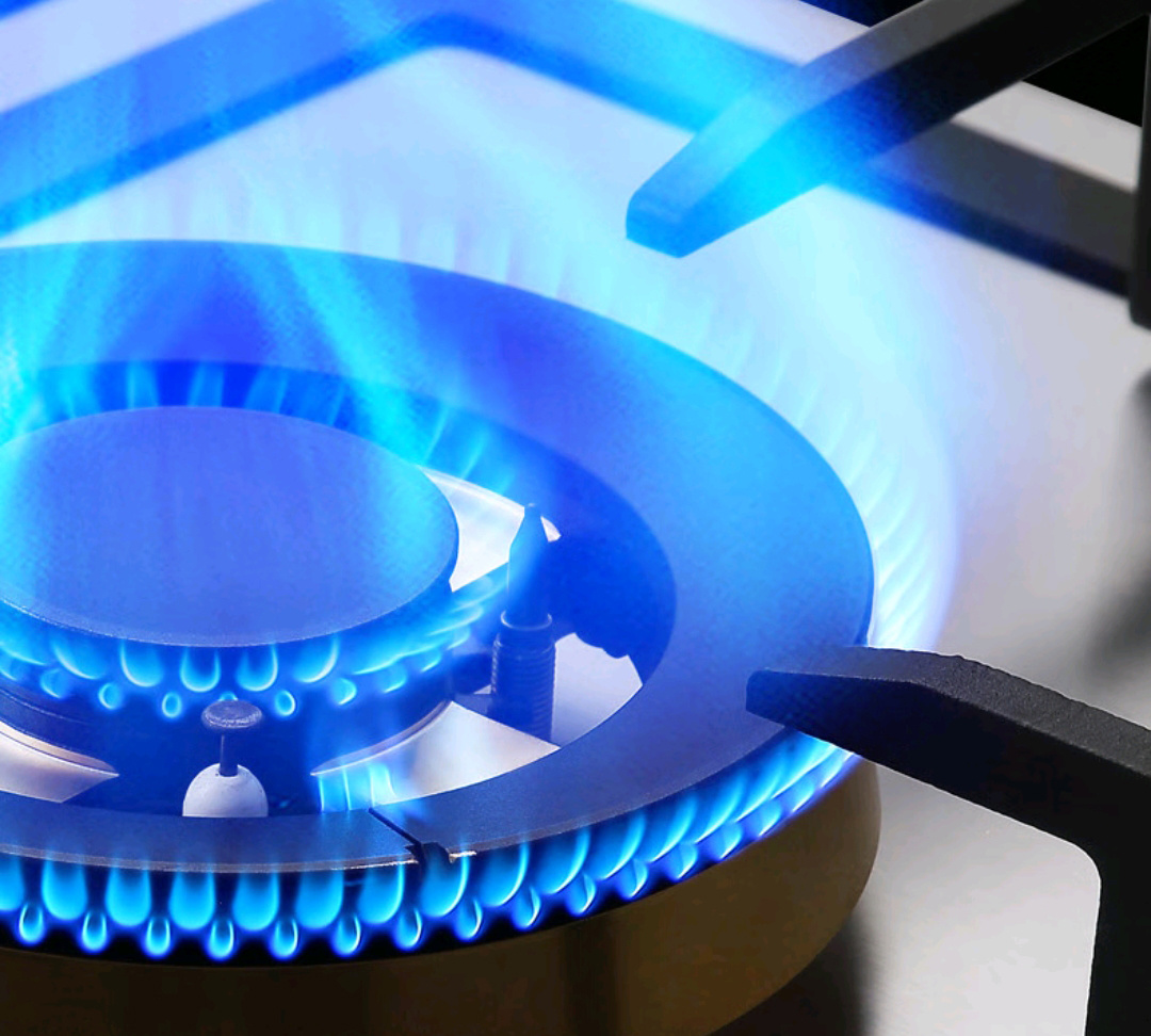ALK-S05 Gas Cooker