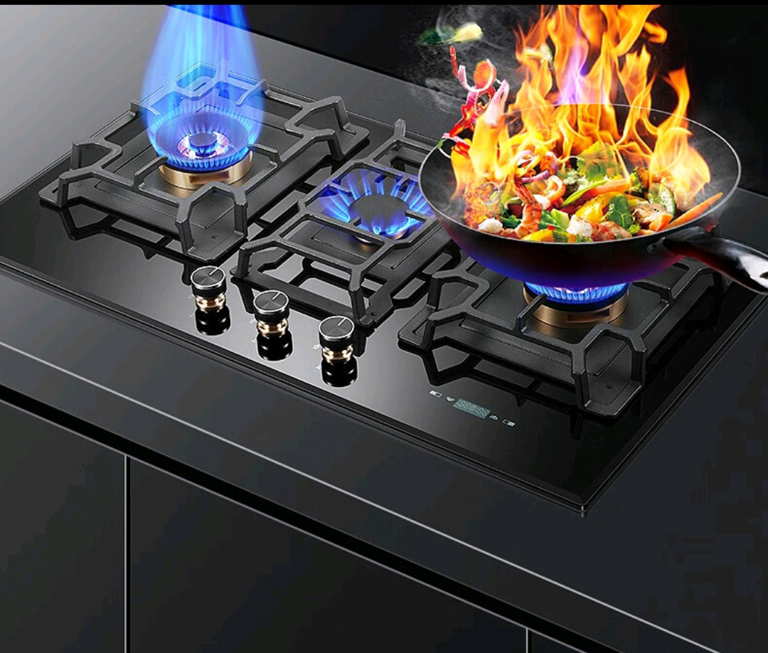 ALK-G301 Gas Stove